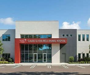TB Animal Hosp Elevation 3D Daytime Rendering
